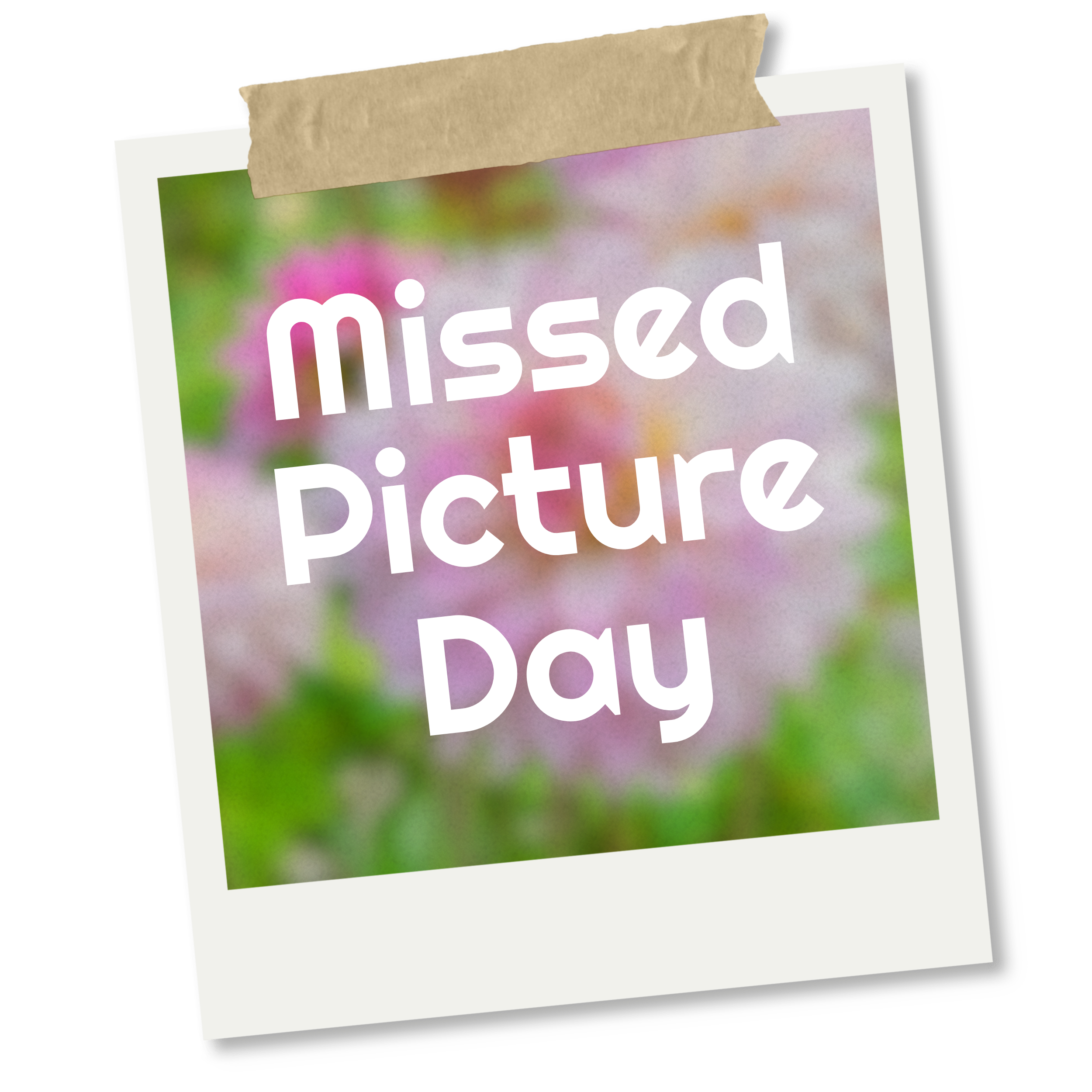 Roza Pantera Dahlia Tuber